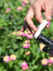 Carica immagine nel visualizzatore galleria, Idrantino