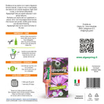 Carica immagine nel visualizzatore galleria, Algaspring Home &amp; Garden – Biostimolante naturale in fiale per piante in vaso e da appartamento a base di microalghe – uso agricolo (10 fiale da 40 ml)
