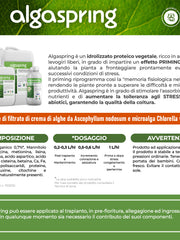 Carica immagine nel visualizzatore galleria, Algaspring Foliar - Biostimolante fogliare naturale per piante a base di microalghe - uso agricolo (1litro)
