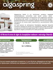 Carica immagine nel visualizzatore galleria, Algaspring Radix – Biostimolante radicale naturale per piante a base di microalghe e acidi umici – uso agricolo (1 litro)
