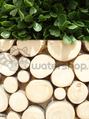 Carica immagine nel visualizzatore galleria, Vaso Design - MOCA
